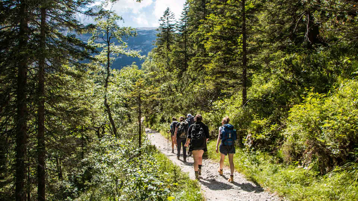 Wandern in Bayern | Wanderurlaub in den Bergen