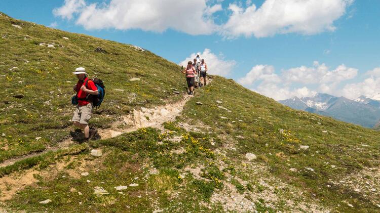 Die Kaiserkrone Wandern In Going Und Kitzbuehl