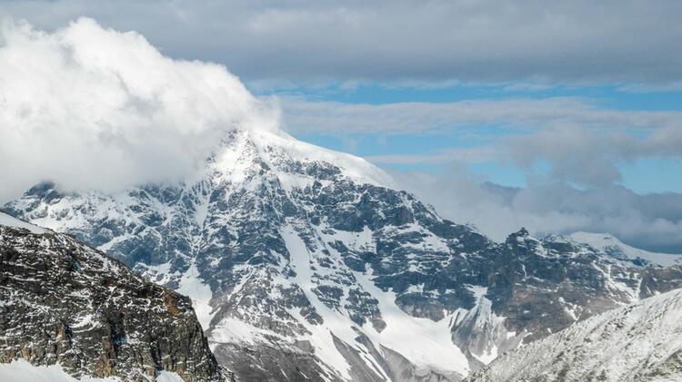 Ortler Und Koenigsspitze Mit Bergfuehrer