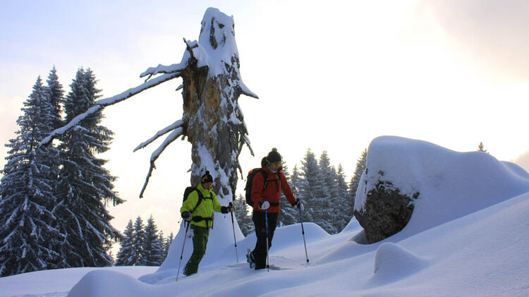Schneeschuhwandern Am Spitzingsee