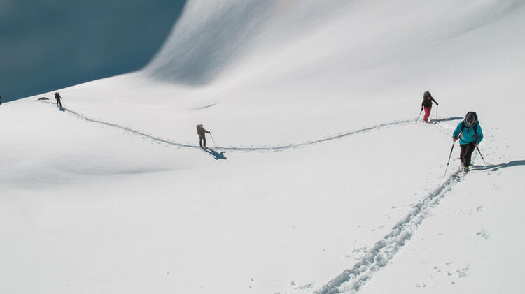 Skitouren In Der Bernina Am Piz Palue