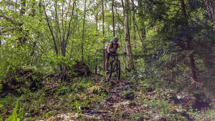 Trail Kurs