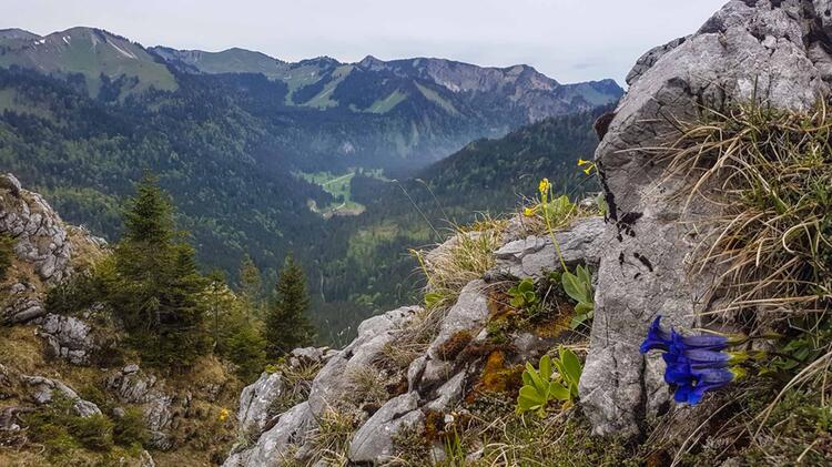Traumhafter Ausblick Auf Tegernseer Berge Mit Alpine Welten