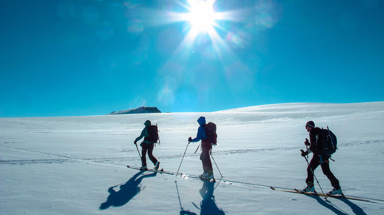 Traumverhaeltnisse Auf Skitour